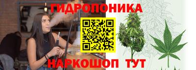 ешки Пугачёв