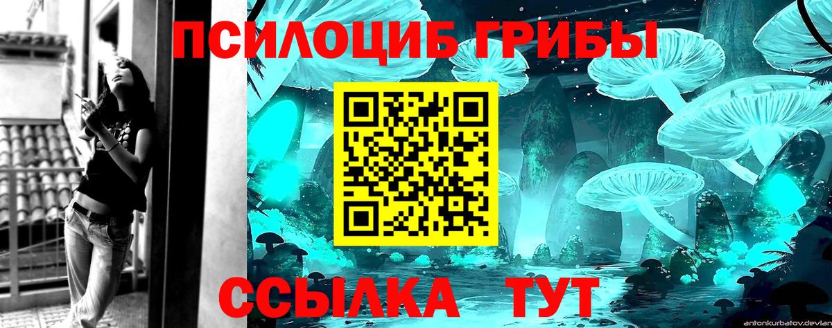 Подольск  Галлюциногенные грибы Magic Shrooms  Псилоцибиновые грибы Cubensis  Вход с VPN 