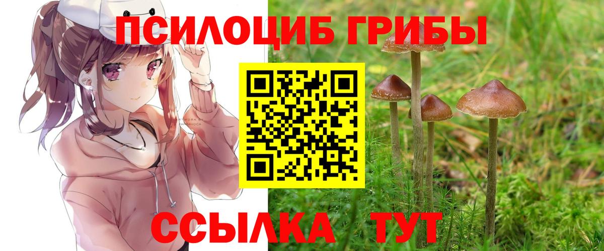 Псилоцибиновые грибы MAGIC MUSHROOMS Подольск